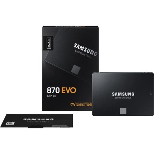 Disque SSD Interne Samsung 870 EVO MZ-77E500B/EU 500 Go Noir