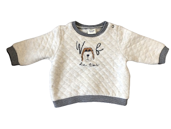 Pull garçon  9 mois Tape à l'oeil